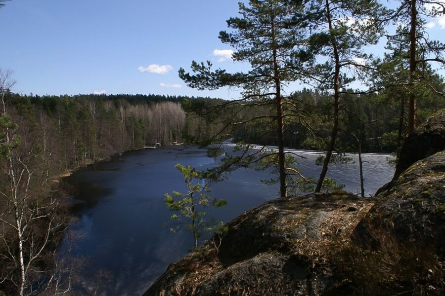 From Helsinki: Nuuksio National Park Half-Day Trip - Nuuksio’s forest highlights: conifers, primeval rocks, moss, and lake views