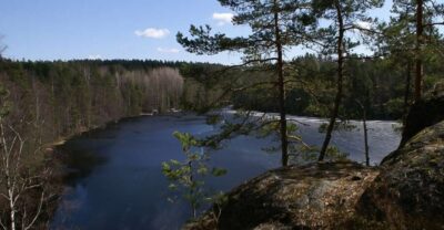 From Helsinki: Nuuksio National Park Half-Day Trip - Meeting at Railway Square and getting out of the city without fuss
