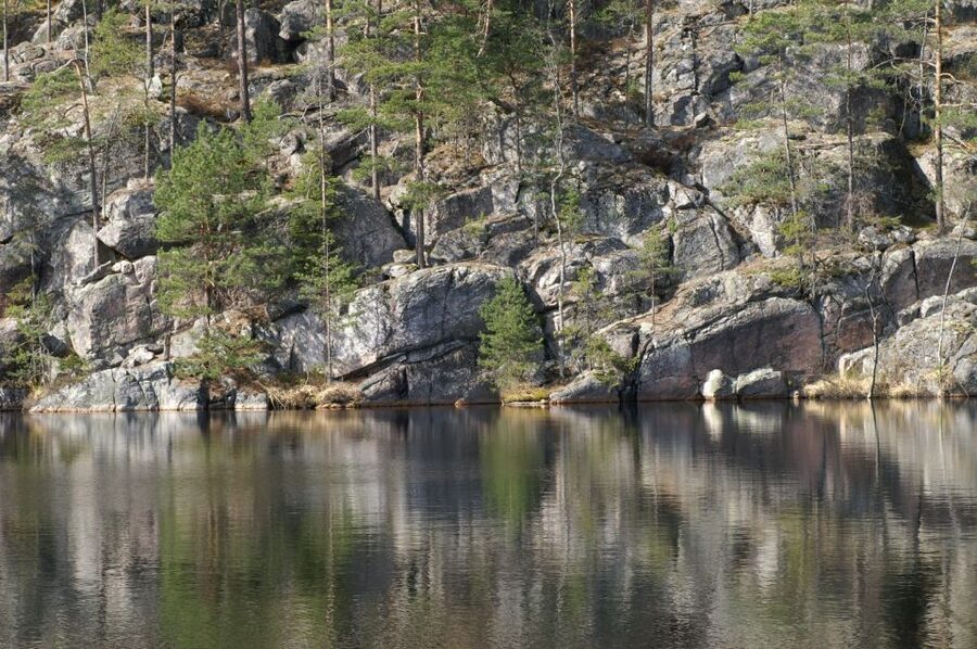 From Helsinki: Nuuksio National Park Half-Day Trip - The biologist guide effect: learning that actually changes how you walk
