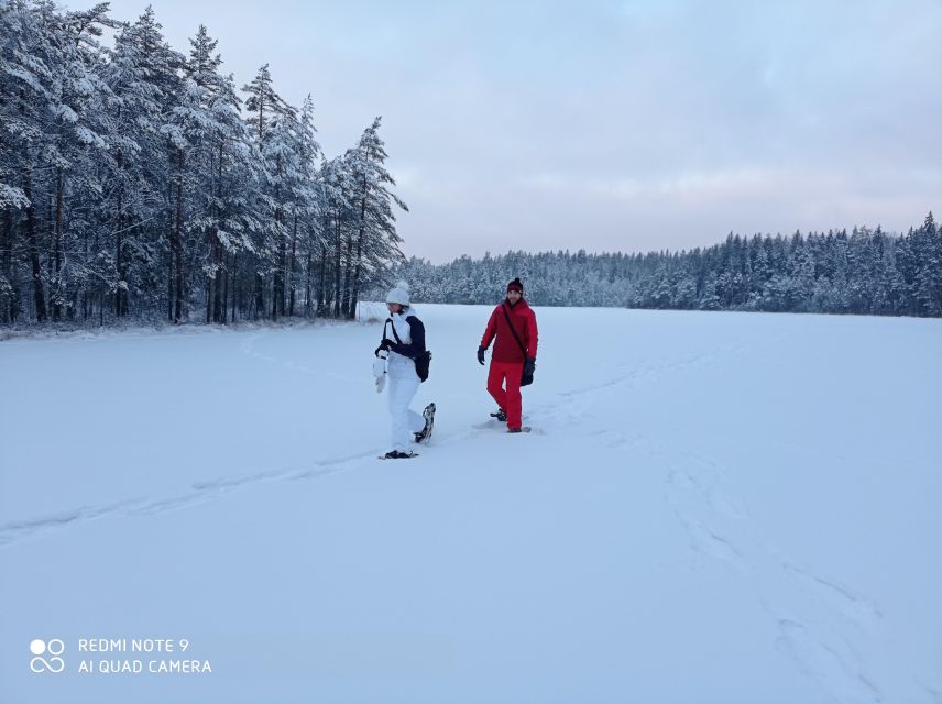 From Helsinki: Nuuksio National Park Hiking Tour with Food - Getting There From Helsinki: Storyville to Nuuksio by Van