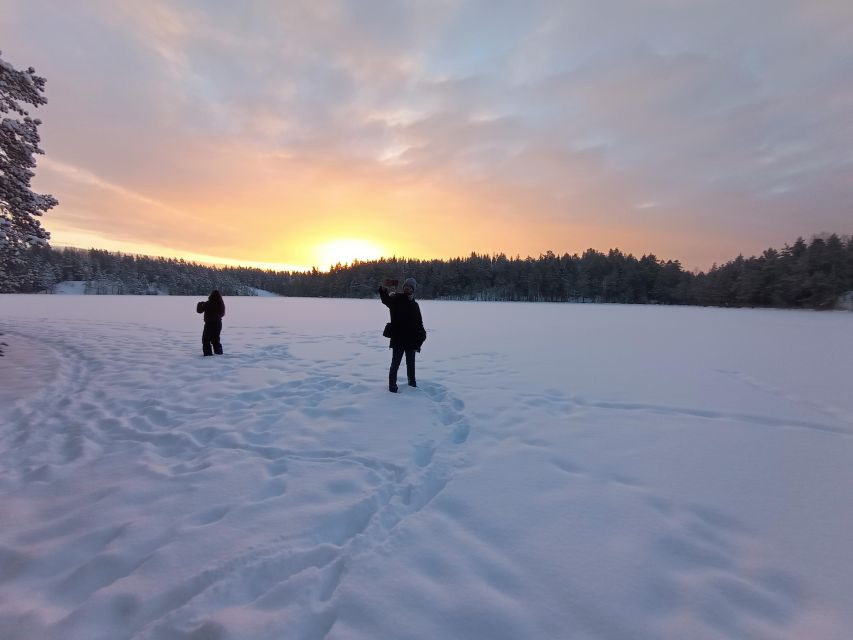 From Helsinki: Nuuksio National Park Hiking Tour with Food - Price and Value: What $110 Gets You in Real Terms
