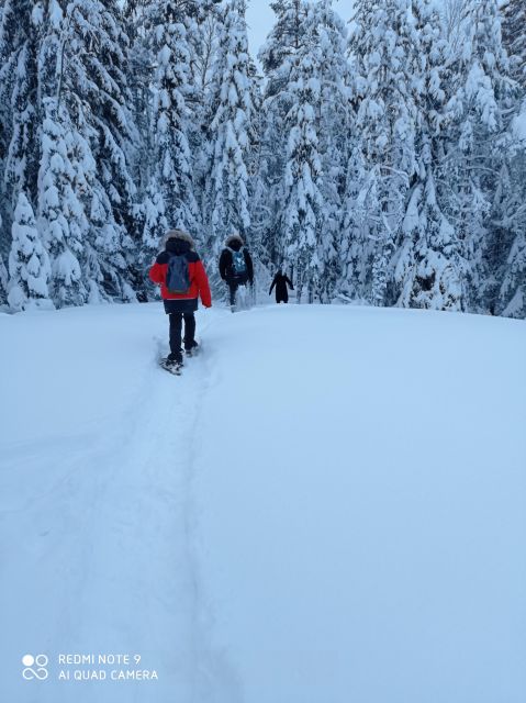 From Helsinki: Nuuksio National Park Hiking Tour with Food - Quick Tips Before You Go