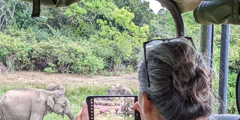 From Hikkaduwa/ Galle/ Mirissa - Yala National Park Safari - From Hikkaduwa to Yala: How the 11 Hours Actually Play Out
