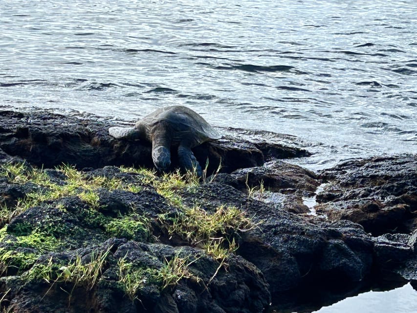 From Hilo: Hawaii Volcanoes National Park Tour - Small But Important Practicalities (That Affect Your Day)