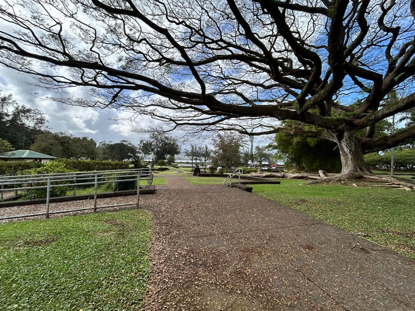 From Hilo: Hawaii Volcanoes National Park Tour - A 5-Hour Big Island Day From Hilo: What You Really Get