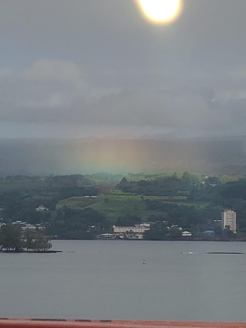 From Hilo: Hawaii Volcanoes National Park Tour - Liliuokalani Gardens: A 25-Acre Japanese Connection Near Hilo