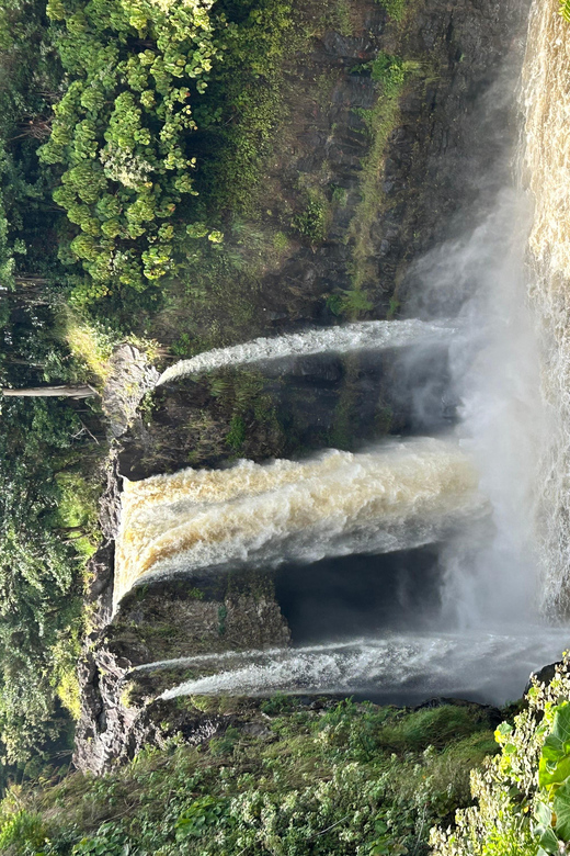 From Hilo: Hawaii Volcanoes National Park Tour - Price and Value: Is $175 for 5 Hours Fair?