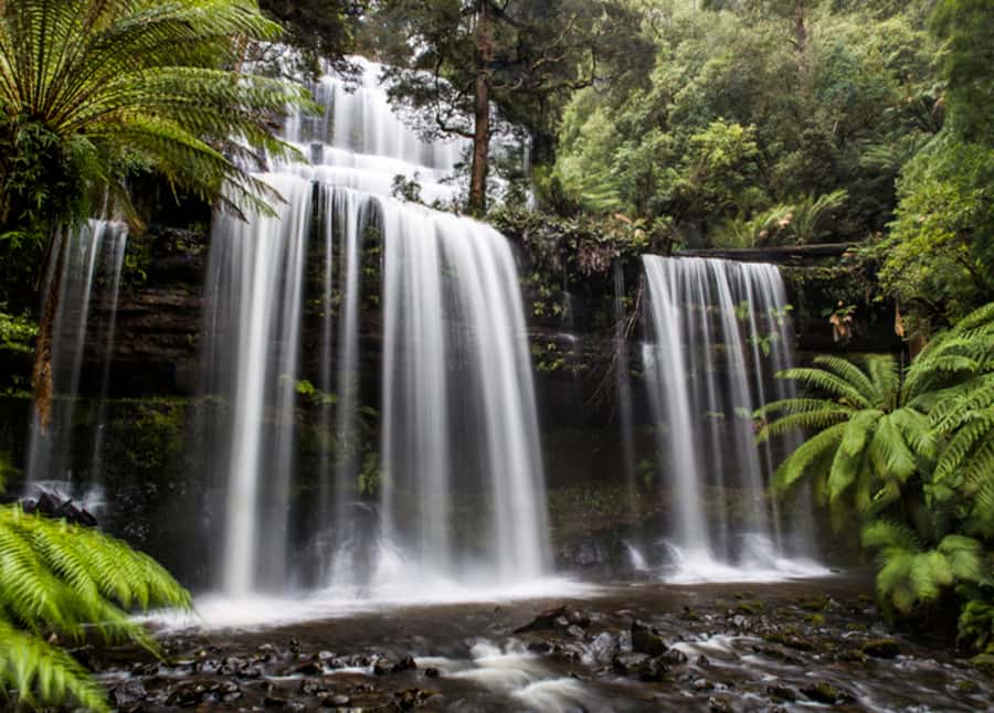 From Hobart: Mt. Field National Park and Russell Falls - Mt. Field and Russell Falls: Why This Feels Like More Than a Photo Stop