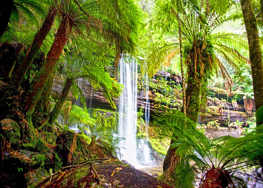 From Hobart: Mt. Field National Park and Russell Falls - Starting from Hobart: Derwent River views and New Norfolk’s country-town pulse