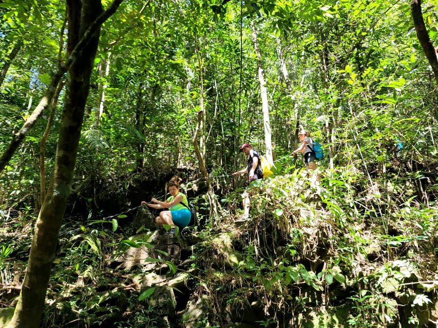 From Hue: Bach Ma National Park Hiking Day Trip with Pickup - Value for $44: What’s Included and Why It Adds Up