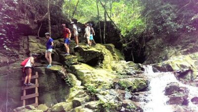 From Hue/Da Nang/Hoi An: Bach Ma National Park Trekking Tour - Getting there from Hue, Da Nang, or Hoi An without losing the morning
