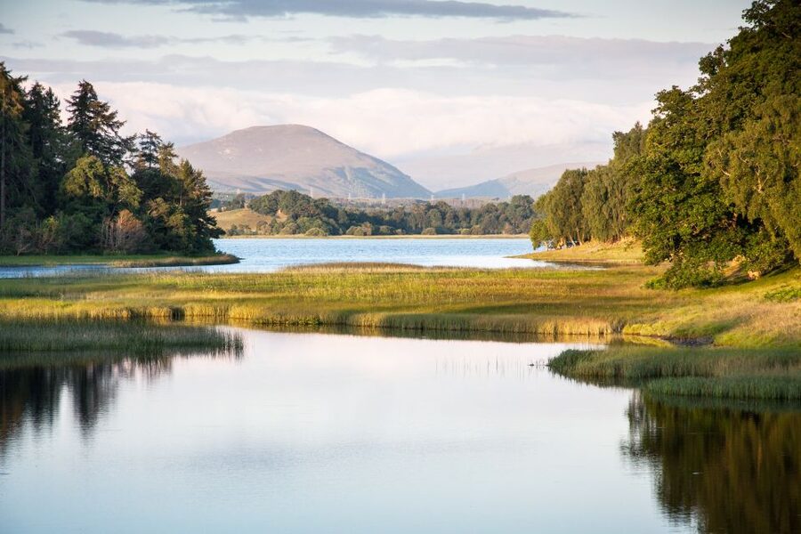 From Inverness: Cairngorms National Park and Whisky Tour - Why This Cairngorms and Whisky Day Works So Well