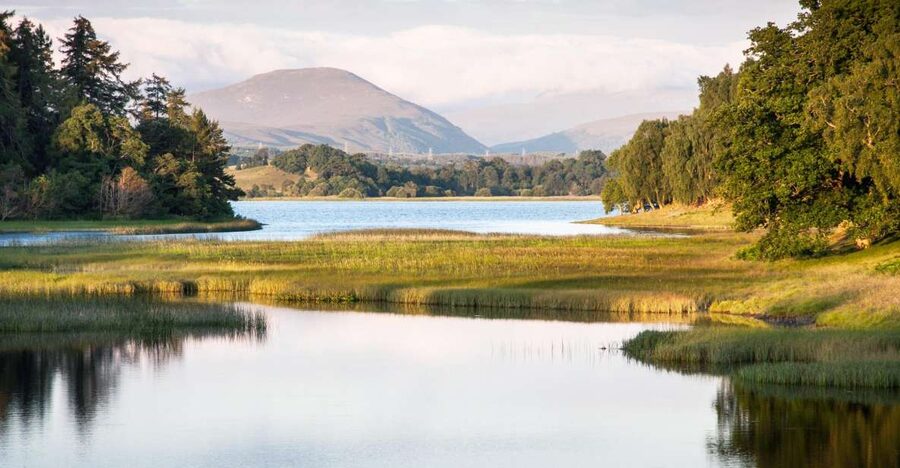 From Inverness: Cairngorms National Park and Whisky Tour - Carrbridge and the Old Packhorse Bridge: A Small Town Stop That Feels Proper