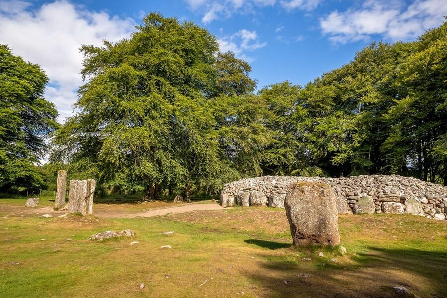 From Inverness: Cawdor Castle and Cairngorms National Park - Highland coos and the Scots Pine Forest: nature time without the grind