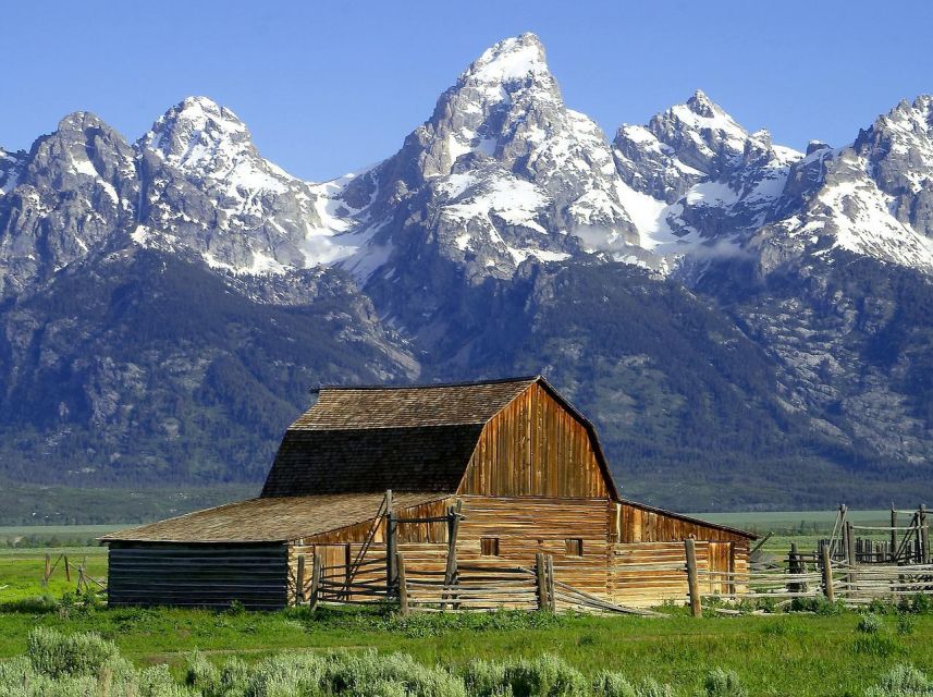 From Jackson: Half-Day Grand Teton National Park Tour - Getting picked up in Jackson and settling into a 4-hour plan