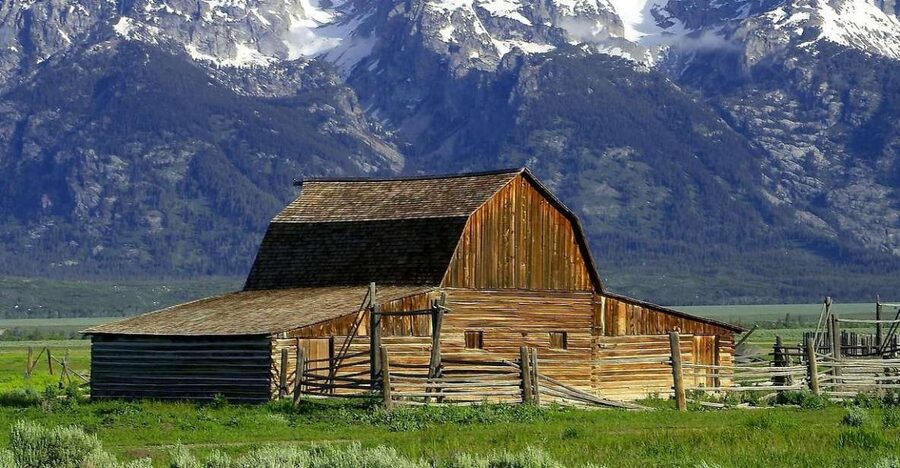 From Jackson: Half-Day Grand Teton National Park Tour - Moose Junction and the Park loop road: seeing more than just one “pretty spot”