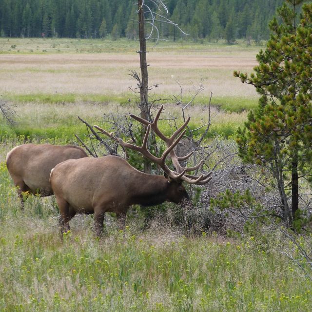 From Jackson: Half-Day Grand Teton National Park Tour - Snake River Overlook and Dead Man’s Bar: geology you can feel