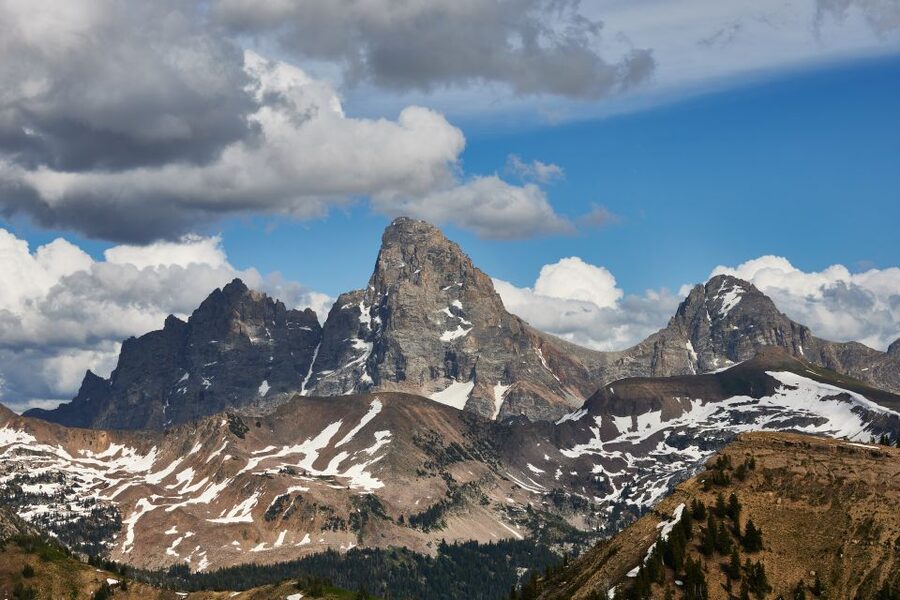 From Jackson: Half-Day Grand Teton National Park Tour - Wildlife viewing tips that make the tour work for you