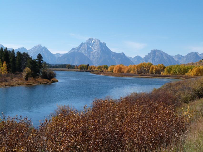 From Jackson: Half-Day Grand Teton National Park Tour - Price and value: what $149 gets you in real terms