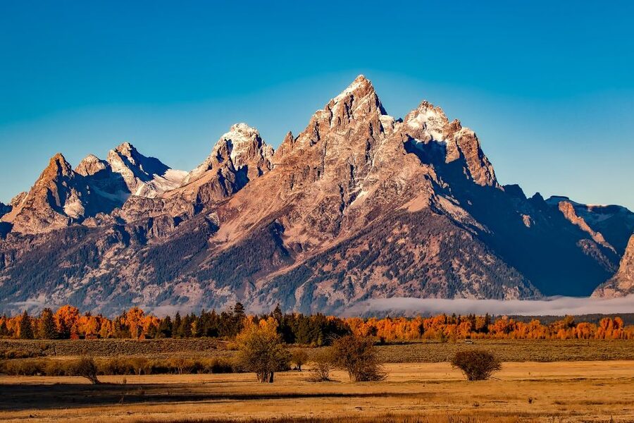 From Jackson: Half-Day Grand Teton National Park Tour - Gros Ventre River to Kelly and Mormon Row: where moose rumors get real