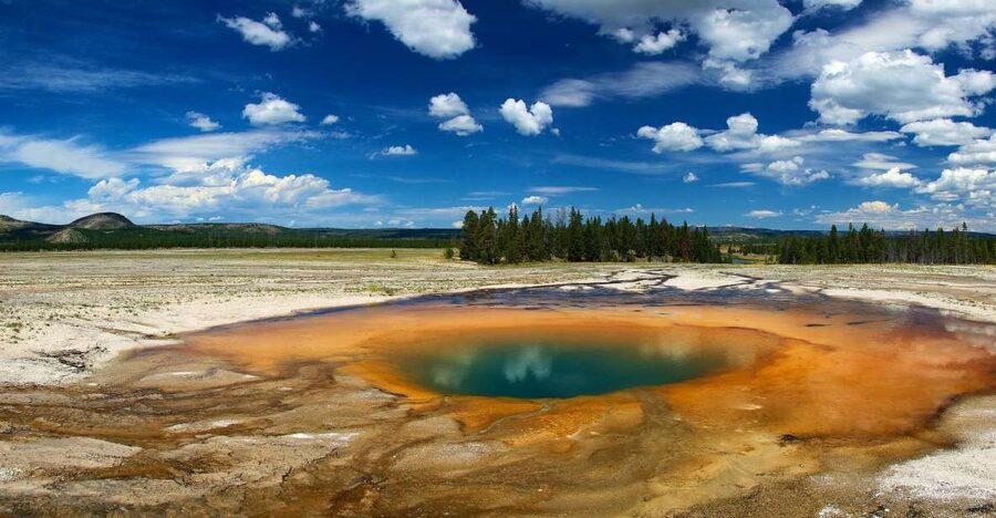 From Jackson: Yellowstone National Park Day Trip with Lunch - Key Highlights You’ll Actually Care About