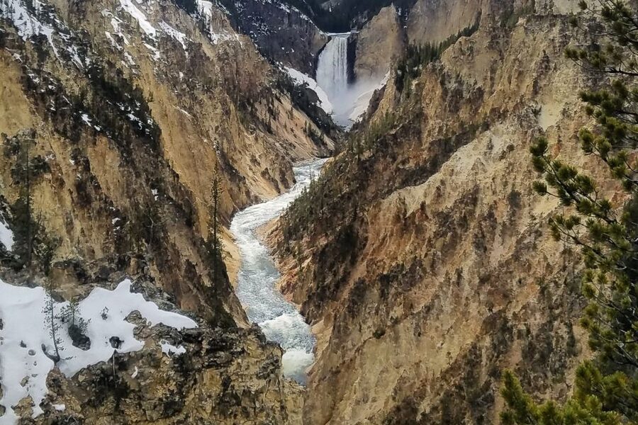 From Jackson: Yellowstone National Park Day Trip with Lunch - Lake Yellowstone and the Lower Loop Finale