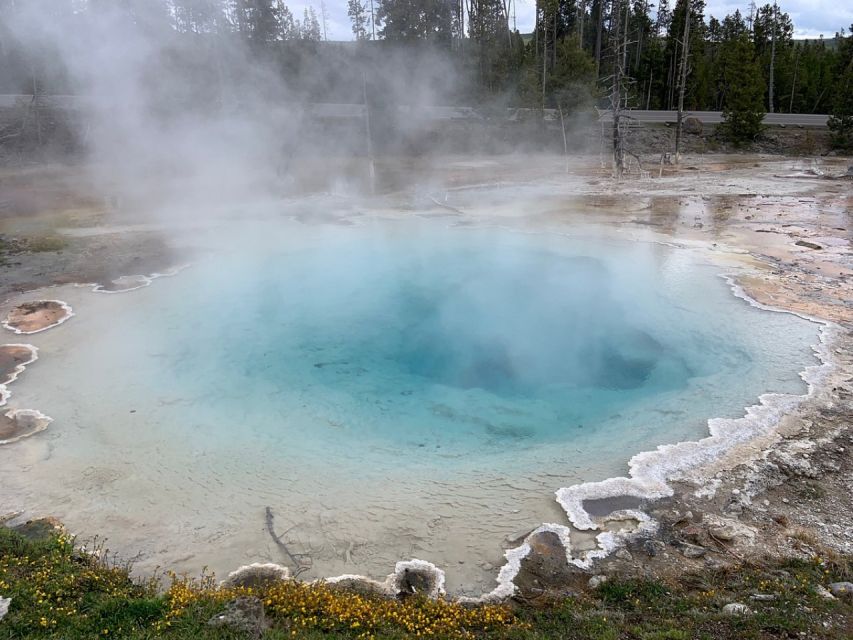 From Jackson: Yellowstone National Park Day Trip with Lunch - From Jackson Pickup to the First Big Wow