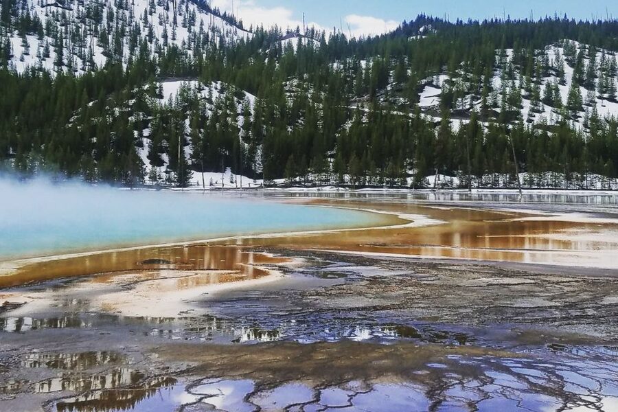 From Jackson: Yellowstone National Park Day Trip with Lunch - Midway Geyser Basin and Firehole Stops: The Variety Behind the Steam