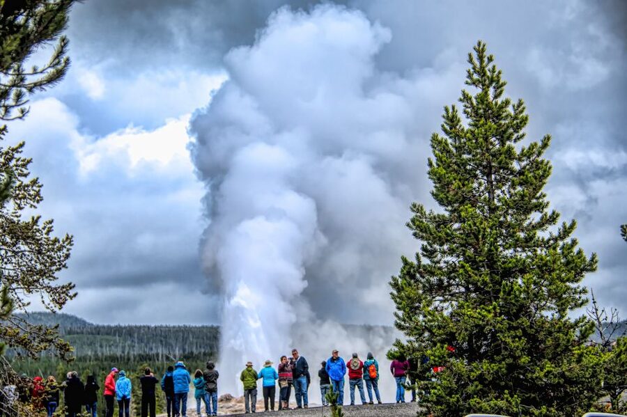 From Jackson: Yellowstone National Park Day Trip with Lunch - Gibbon Falls and Virginia Cascades: Quick Water Relief Breaks