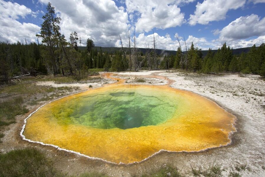 From Jackson: Yellowstone National Park Day Trip with Lunch - Canyon of the Yellowstone, Upper and Lower Falls: The Big Stage