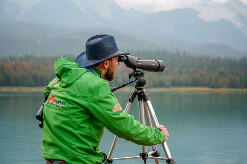 From Jasper: Jasper National Park Wildlife Discovery Tour - Key Things to Know Before You Go
