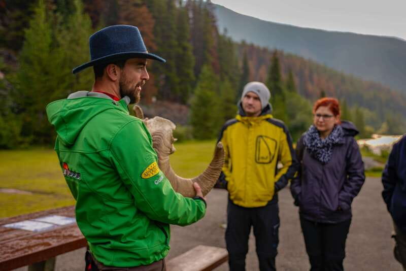From Jasper: Jasper National Park Wildlife Discovery Tour - Inside Jasper National Park: Scenic Drives and Photo Stops That Make Sense