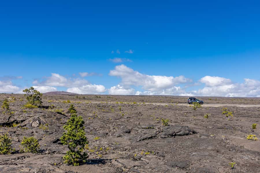 From Kailua-Kona: All-Inclusive Volcanoes National Park Tour - Punalu‘u Bakery Malasadas and Black Sand Beach: A Surprisingly Good Warm-Up