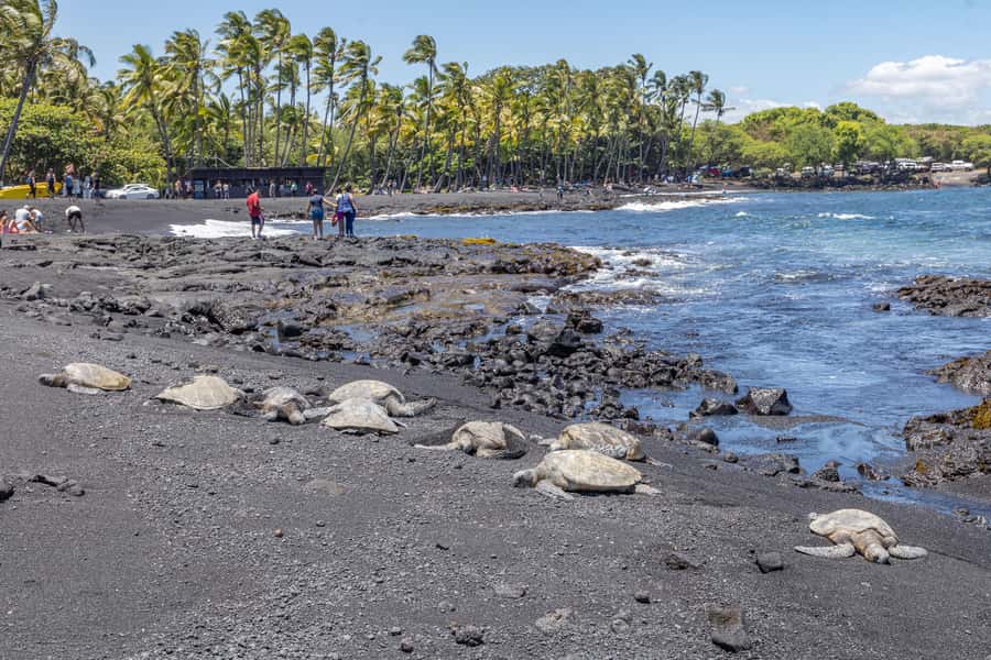 From Kailua-Kona: All-Inclusive Volcanoes National Park Tour - Who Should Book (and Who Might Find It Too Much)