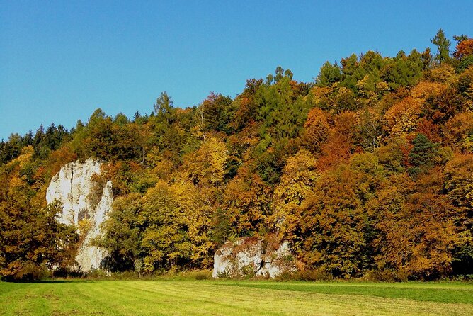From Krakow: Ojcow National Park and Pieskowa Skala Castle - Getting Out of Krakow Without the Headache