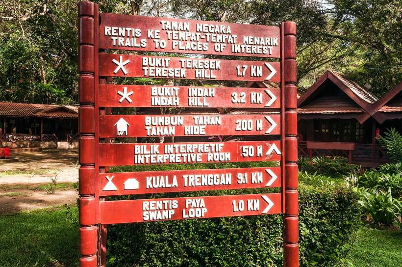 From Kuala Lumpur: Full-Day Taman Negara National Park - Road trip value: comfort, culture talk, and the long ride from KL