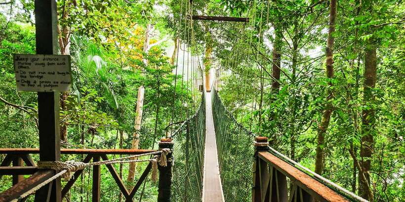 From Kuala Lumpur: Full-Day Taman Negara National Park - Tribal visit and local culture: learning respectfully, not as a show