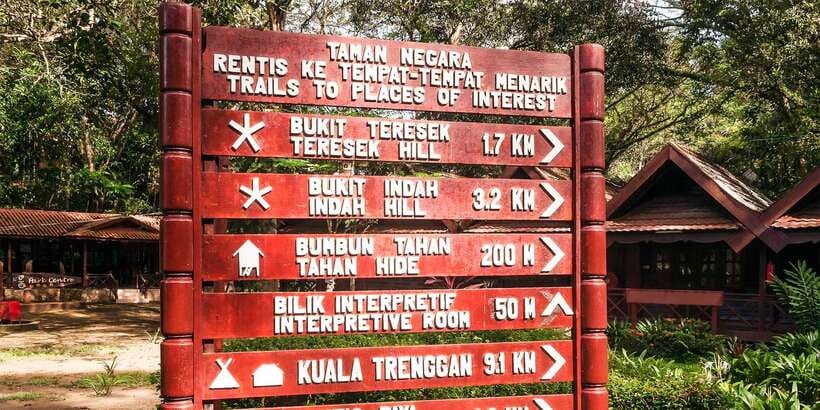 From Kuala Lumpur: Full-Day Taman Negara National Park - Wildlife expectations: what you can hope for, and what to accept