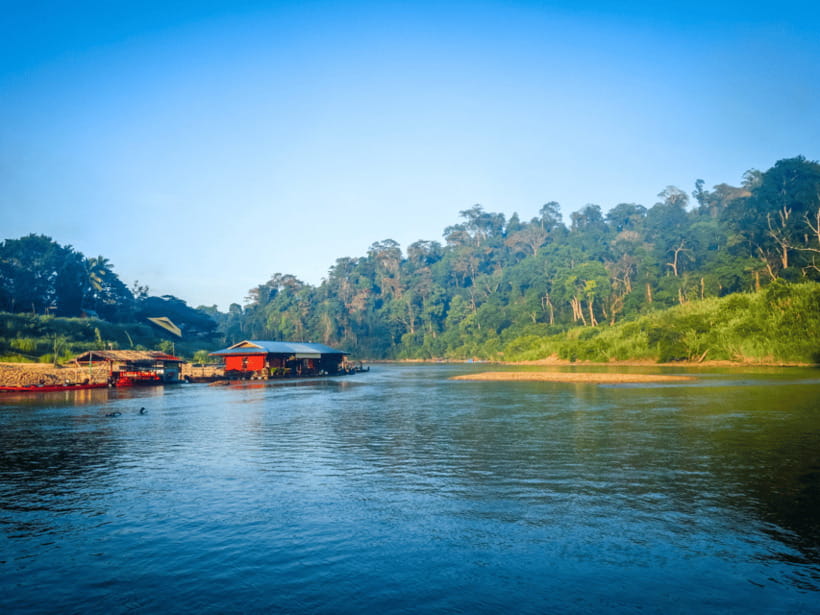 From Kuala Lumpur: Taman Negara National Park Private Tour - Price and Value: What You’re Really Paying For