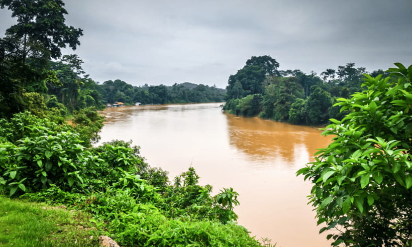 From Kuala Lumpur: Taman Negara National Park Private Tour - Who This Tour Suits Best (and who should skip it)