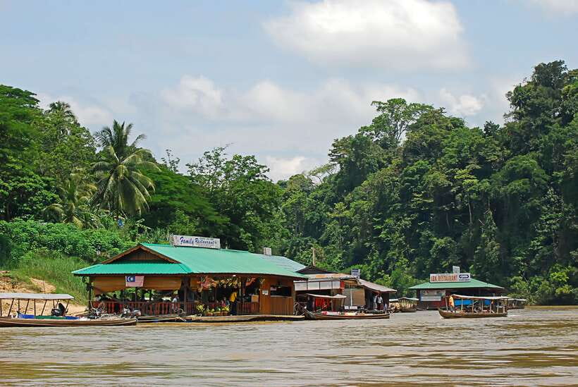 From Kuala Lumpur: Taman Negara National Park Trek Day Tour - Key highlights to know before you go
