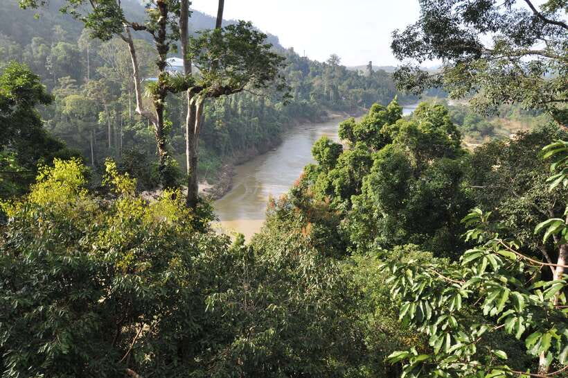 From Kuala Lumpur: Taman Negara National Park Trek Day Tour - From Kuala Lumpur to Taman Negara: the long ride that sets expectations