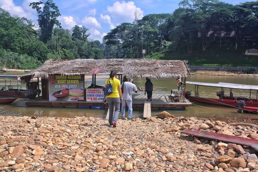 From Kuala Lumpur: Taman Negara National Park Trek Day Tour - Canopy walkway closure: what changes and what stays good