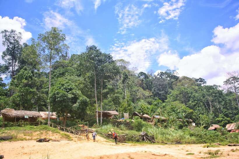 From Kuala Lumpur: Taman Negara National Park Trek Day Tour - Tembeling River rapid boat ride: adrenaline with a soaking risk