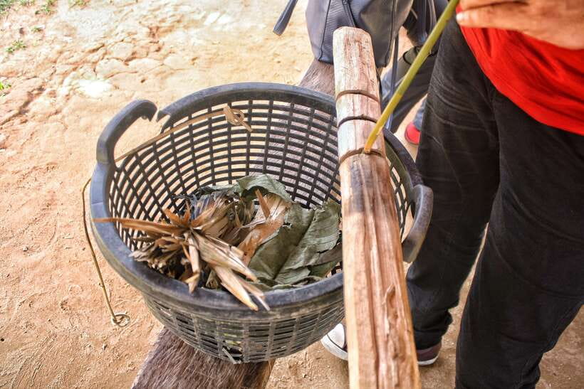From Kuala Lumpur: Taman Negara National Park Trek Day Tour - What to pack for humid trails and a river finish