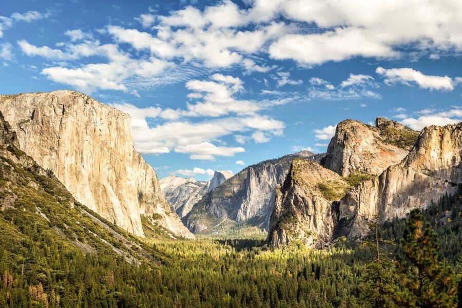 From Lake Tahoe: Yosemite National Park Day Trip with Lunch - Yosemite Falls or Bridalveil Fall: what the seasonal hike feels like