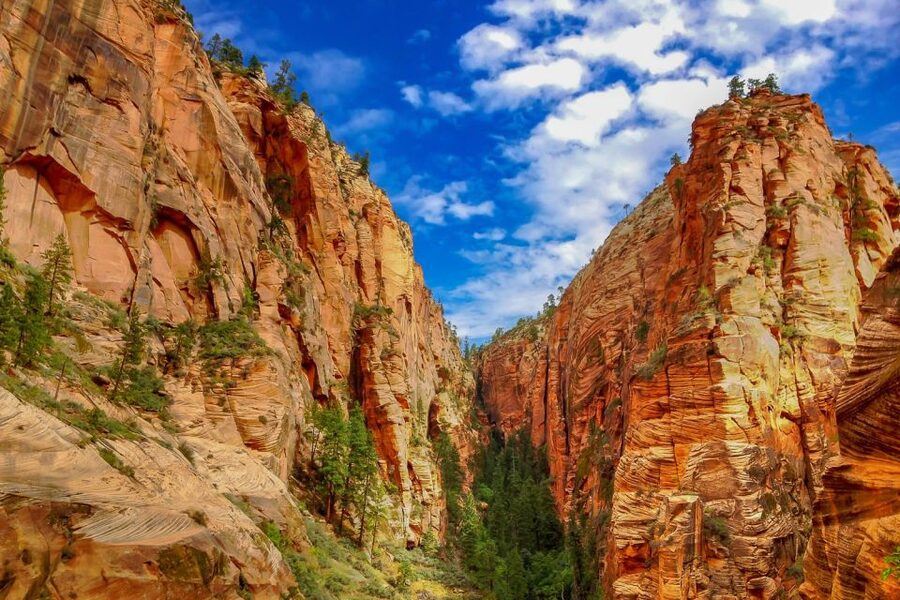 From Las Vegas: Zion and Bryce National Park Overnight Tour - Getting from Las Vegas: the drive that changes your mood