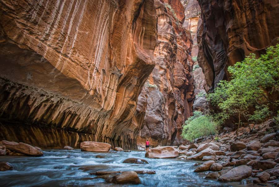 From Las Vegas: Zion National Park Day Trip - The Zion Day Trip Setup That Makes It Work