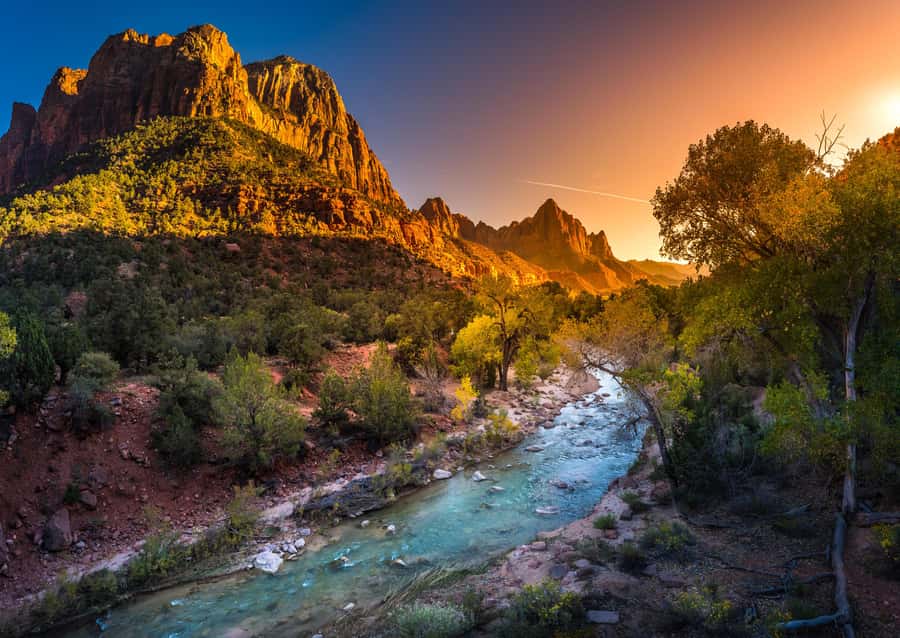 From Las Vegas: Zion National Park Day Trip - Lunch Break at Zion Lodge: Plan for It Being a Short Stop