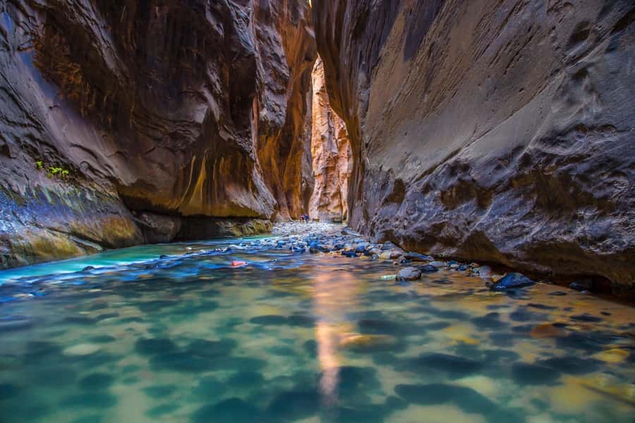 From Las Vegas: Zion National Park Day Trip - The Van Ride Through Southern Utah (and Why It Matters)